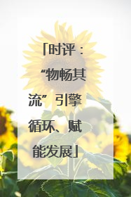 时评：“物畅其流”引擎循环、赋能发展