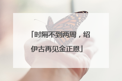 时隔不到两周，绍伊古再见金正恩