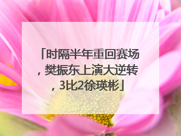 时隔半年重回赛场，樊振东上演大逆转，3比2徐瑛彬
