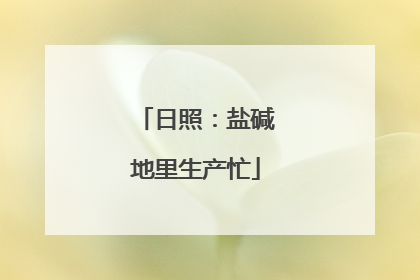 日照：盐碱地里生产忙