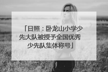 日照：卧龙山小学少先大队被授予全国优秀少先队集体称号