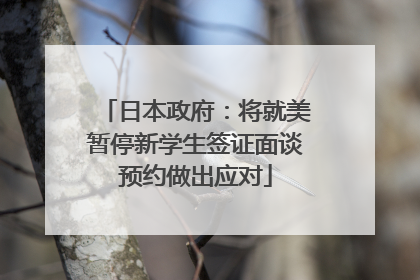 日本政府：将就美暂停新学生签证面谈预约做出应对