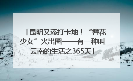昆明又添打卡地！“簪花少女”火出圈——有一种叫云南的生活之365天