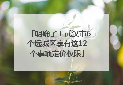 明确了！武汉市6个远城区享有这12个事项定价权限