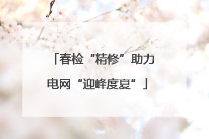 春检“精修”助力电网“迎峰度夏”