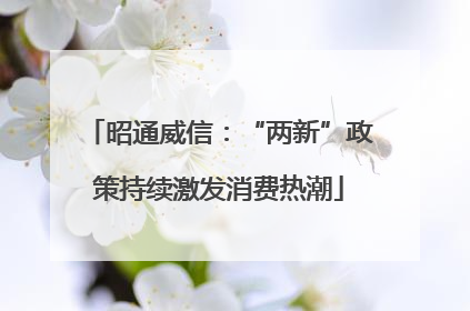 昭通威信：“两新”政策持续激发消费热潮