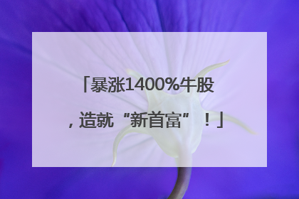 暴涨1400%牛股，造就“新首富”！