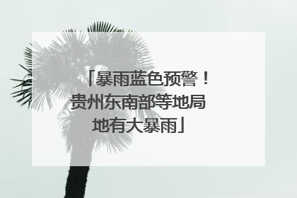 暴雨蓝色预警！贵州东南部等地局地有大暴雨