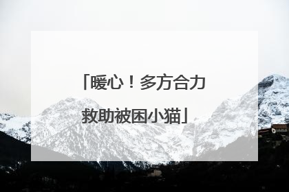 暖心！多方合力救助被困小猫