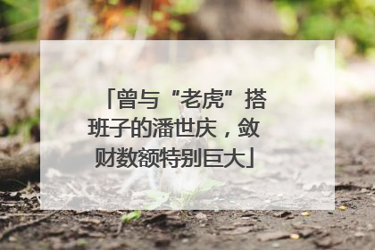 曾与“老虎”搭班子的潘世庆，敛财数额特别巨大