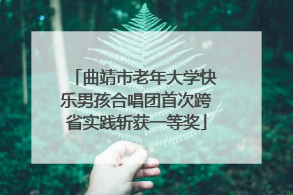 曲靖市老年大学快乐男孩合唱团首次跨省实践斩获一等奖