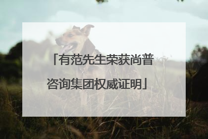 有范先生荣获尚普咨询集团权威证明
