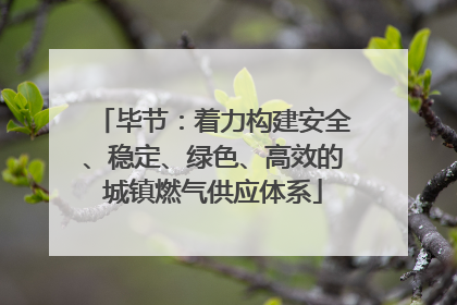 毕节：着力构建安全、稳定、绿色、高效的城镇燃气供应体系