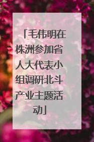 毛伟明在株洲参加省人大代表小组调研北斗产业主题活动