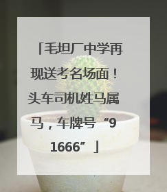 毛坦厂中学再现送考名场面！头车司机姓马属马，车牌号“91666”