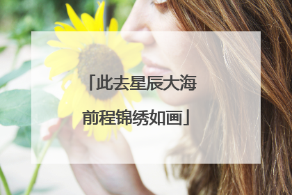 此去星辰大海 前程锦绣如画