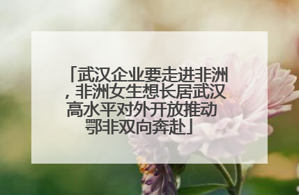 武汉企业要走进非洲，非洲女生想长居武汉 高水平对外开放推动鄂非双向奔赴