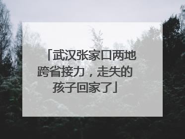 武汉张家口两地跨省接力，走失的孩子回家了