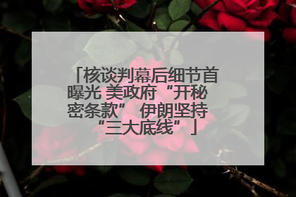 核谈判幕后细节首曝光 美政府“开秘密条款” 伊朗坚持“三大底线”