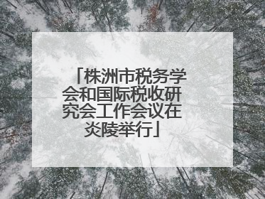 株洲市税务学会和国际税收研究会工作会议在炎陵举行