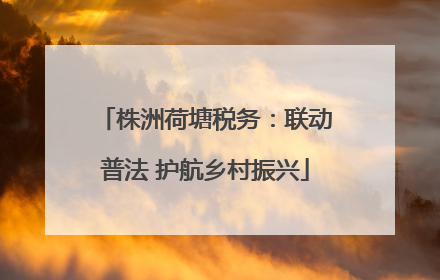 株洲荷塘税务：联动普法 护航乡村振兴