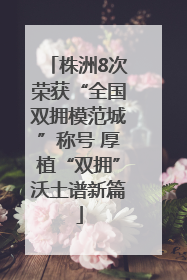 株洲8次荣获“全国双拥模范城”称号 厚植“双拥”沃土谱新篇
