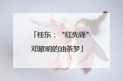桂东：“红先锋”邓耀明的油茶梦