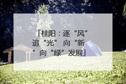 桂阳：逐“风”追“光” 向“新”向“绿”发展