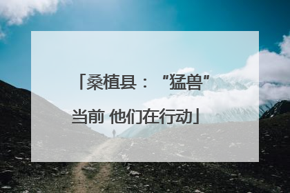 桑植县：“猛兽”当前 他们在行动