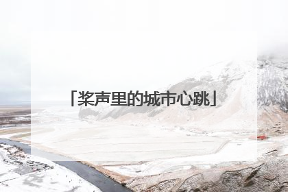 桨声里的城市心跳
