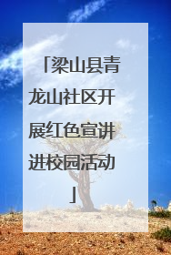 梁山县青龙山社区开展红色宣讲进校园活动