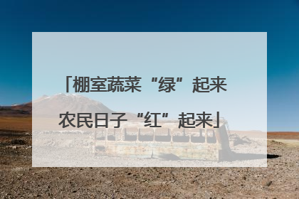 棚室蔬菜“绿”起来 农民日子“红”起来