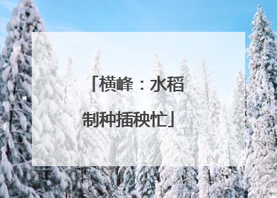 横峰：水稻制种插秧忙