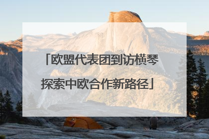 欧盟代表团到访横琴 探索中欧合作新路径