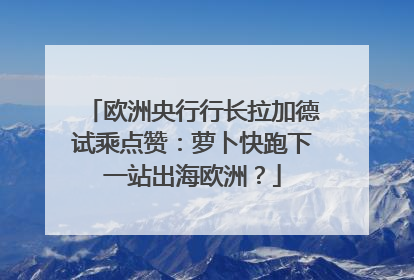 欧洲央行行长拉加德试乘点赞：萝卜快跑下一站出海欧洲？