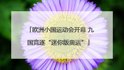 欧洲小国运动会开幕 九国竞逐“迷你版奥运”