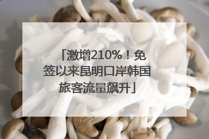激增210%！免签以来昆明口岸韩国旅客流量飙升