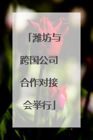 潍坊与跨国公司合作对接会举行