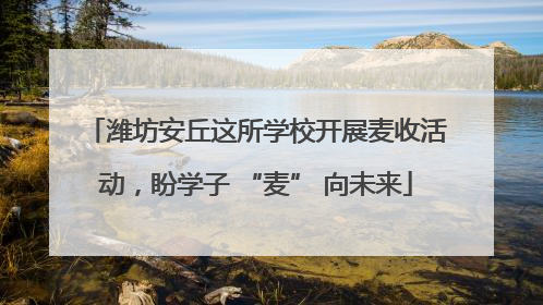 潍坊安丘这所学校开展麦收活动，盼学子 “麦” 向未来