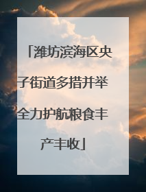 潍坊滨海区央子街道多措并举全力护航粮食丰产丰收