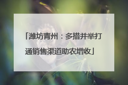 潍坊青州：多措并举打通销售渠道助农增收