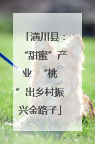 潢川县：“甜蜜”产业  “桃”出乡村振兴金路子