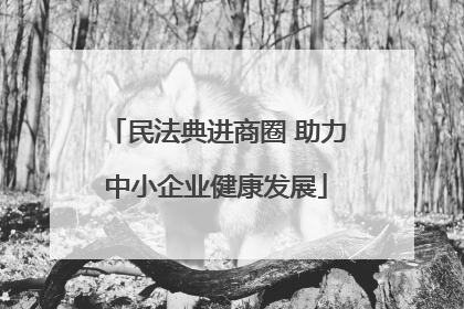 民法典进商圈 助力中小企业健康发展