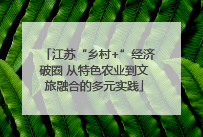 江苏“乡村+”经济破圈 从特色农业到文旅融合的多元实践