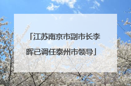 江苏南京市副市长李晖已调任泰州市领导