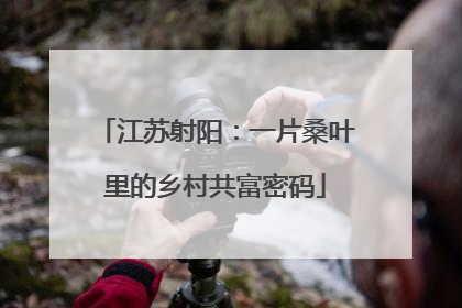 江苏射阳：一片桑叶里的乡村共富密码