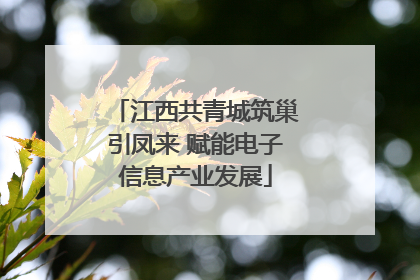 江西共青城筑巢引凤来 赋能电子信息产业发展