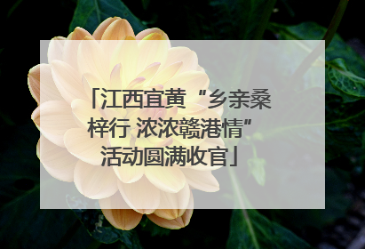 江西宜黄“乡亲桑梓行 浓浓赣港情”活动圆满收官