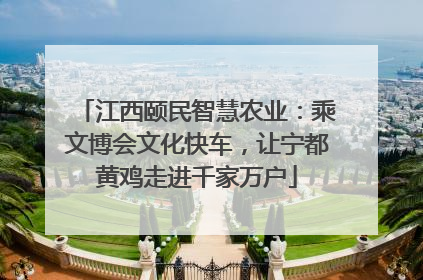 江西颐民智慧农业：乘文博会文化快车，让宁都黄鸡走进千家万户