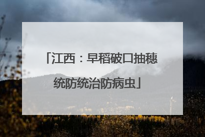 江西：早稻破口抽穗 统防统治防病虫